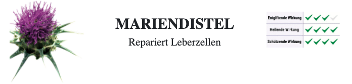 Hepaphenol Mariendistel