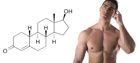 Was sind die Inhaltsstoffe von Nandrolon Tabletten und Nandrolon Injektionen
